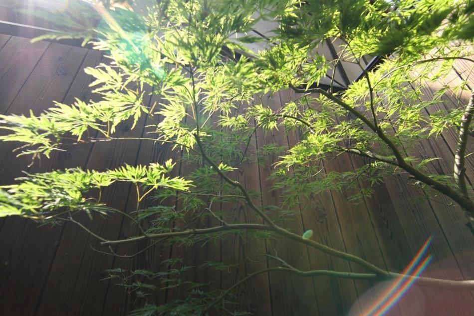 Anzu An Machiya House Villa Киото Стая снимка